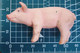 MAIALE PIG  D-73527 SCHW. GMUND Figure - Cochons