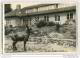 Berlin-Tempelhof - Gärtnerhaus Im Bose-Park - Foto-AK - 60er Jahre - Handabzug - Tempelhof