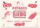 Buvard  ( 20 X 14.5 Cm ) Liebig Potages ( Pliures, Auréoles, Taches ) - Soups & Sauces