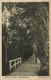 Suriname, PARAMARIBO, Cultuurtuin, Gardens (1910s) Postcard - Surinam