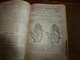 Delcampe - 1911 Tremblement De Terre à ROGNES;Avions;etc(éd. Luxe) ALMANACH HACHETTE (Encyclopédie Populaire De La Vie Pratique); - Encyclopaedia