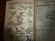 Delcampe - 1909 En BRETAGNE 13 Maris Pour 1 Femme, En ALSACE  2/3 De Mari Pour 1 Femme;etc (éd. Luxe) ALMANACH HACHETTE - Encyclopedieën