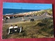 Nederland. Pays-Bas. Holland  Domburg  Strandgezicht - Domburg