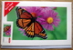 Denmark  Cards And One Stamps  A Brev MNH (**)   Butterfly ( Lot 598 ) - Nuevos