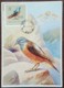 Pologne - Carte Maximum / CM 1963 - YT N°1078 - Faune / Oiseaux  / Merle - Maximum Cards