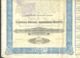 SHAREHOLDINGS, MINERVA MOTORS SHARES, COUPONS, 1920, BELGIUM - Automobil