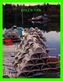 CAPE BRETON, NOVA SCOTIA -  DINGWALL HARBOUR, FISHING BOATS & LOBSTER TRAPS - - Cape Breton