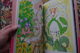 Livre D'Art BD Mangas Edition Originale ISBN 4063245314  ISBN 9784063245318 Nippon Japon Japanese Sakura Illustrations - Comics & Manga (andere Sprachen)