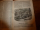 Delcampe - 1845-46 MUSEE DES FAMILLES:Histoire De La Danse;Histoire Des Poupées,des Marionnettes;Tanger;Venise;Peintre Apelles ;etc - 1800 - 1849