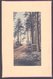 NZ Postcard 1/2d KEVII Rural Trees Scene. - Brieven En Documenten