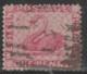 WESTERN AUSTRALIA - 1860 1d Swan. Perf 14. Scott 25. Used - Used Stamps