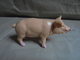 Ancien - Figurine Schleich "Cochon" - Varkens