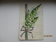 IMP. RUSSIA ST. PETERSBURG REGION MOLOSKOVITSY CANCEL  , OLD POSTCARD   , O - Other & Unclassified