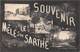 61-LE-MELES-SUR-SARTHE- SOUVENIR MULTIVUES - Le Mêle-sur-Sarthe