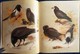 Delcampe - Archibald Thorburn's - BIRDS - The Complete Illustrated - Wordsworth Editions - ( 1997 ) . - Vida Salvaje