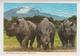 CC 046 /  RWANDA   /  Rhinocéros Noir / Black  RHINOCEROS : Das Schwarze Rhinozeros  ( Nice Stamp ) - Ruanda