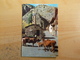 LETTRE ANDORRE ANDORRA YT 174 MAISON D'ANDORRE A PARIS - CANILLO VACHE COW VEAU - Briefe U. Dokumente