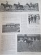 1905  FLYING FOX  L étalon D Un :million équitation Race Pure Sang  Cheval  Haras De JARDY - Equitation