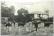 PÂTURAGE DE LA GRANDE FERME DE LA PRAIRIE - E . LEVANNEUR Á CROISSY - Croissy-sur-Seine