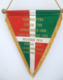 FANION 110° RI REGIMENT D' INFANTERIE - Flags