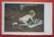 NAKED BOY DRAWING , AUSTRIAN ART POSTCARD - Children's Drawings