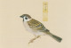 AKJP Japan Postcards Showing Paintings - Birds - Crested Ibis - Sparrow - Rufous-bellied Thrush - Verzamelingen & Kavels