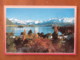 New Zealand 2000 Postcard "Lake Wanaka - Mountains" To Holland - Rutherford - Atom Physics - Briefe U. Dokumente