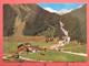 Visuel Pas Très Courant - Autriche - Krimml - Nationalpark Hohe Tauern - Krimmler Tauernhaus - Scans Recto Verso - Krimml
