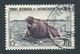 TAAF 1956 - YT N°7 - 15 F. - Faune - Eléphant De Mer (Kerguelen) - Oblitéré - TTB Etat - Used Stamps