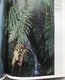 (82) Jiri Havel - The Giant Mountains - 215p.- H26x21cm - 1992 - Good - Geographie