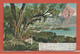 MONACO CARTE POSTALE AFFRANCHIE DE 1906 POUR SUCY EN BRIE FRANCE - Lettres & Documents