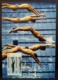 Olympic Games Sports Maximum Card 2015 Olympics Mark Spitz, Munich 1972, Hong Kong Swimming Type B - Cartoline Maximum