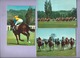 5 Cartes Modernes -  Sur Les Champs De Courses (  Hippisme , Courses De Chevaux ) - Paardensport