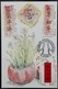 Festive Customs Putting Up Spring Festival Scrolls Chinese New Year 2018 Hong Kong Maximum Card MC (Pictorial Postmark) - Cartes-maximum