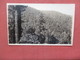 RPPC Mountains Of Timber From The Oregon Coves   Oregon   Ref 3953 - Salem