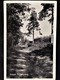 Netherlands, Circulated Postcard,  "Nature", "Landscapes", "'Hattem", 1957 - Hattem