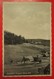 I2-Germany Vintage Postcard- Rehefeld I. Erzgebirge 700 M. N.N. Gasthof Biedermann - Rehefeld