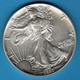 USA 1 DOLLAR 1993 American Silver Eagle Silver 0.999 KM# 273 - Ohne Zuordnung