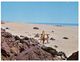 (A 16) Australia - WA - Broome / Surfers In Cable Beach - Broome