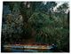 (E 15A) Australia - NT - Katherine Gorge (with Boat) With Stamp 1976 - Katherine