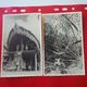 CARTE PHOTO 3 CARTES DILLY JUNGLE HABITATION - Papua New Guinea