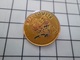 1820 Pin's Pins / Beau Et Rare / THEME : SPORTS / PLONGEE SOUS-MARINE CLUB SUBACAUSSE GRAMMAT - Diving