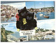 Delcampe - (P 24) Australia - Cat And Dog FDC + Mini-sheet + 2 Bonus Cat & Snow Leopard Postcard - Other & Unclassified