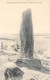 Thème: Dolmen Et Menhir:      Batz Sur Mer       44      Le Menhir-     (voir Scan) - Dolmen & Menhirs