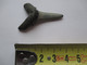 LOT 3 DENTS DE REQUIN FOSSILISE (4 Vues) - Fossilien