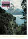 CARTE MAXIMUM TRAIN SAINT GOTHARD LUCERNE 1982 - Cartoline Maximum