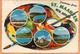 Sint Maarten Old Postcard Mailed - Sint-Marteen