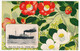 CPA - BATEAUX / JAPON - Nippon Yusan Kaisha S.S."HAKUSAN MARU" - Beau Décor Floral - Commerce