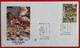 VATICANO VATIKAN VATICAN ANNO PAOLINO YEAR OF PAULUS JAHR FDC 2008 - Covers & Documents