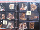 Delcampe - SCRAPS_MAP25 COLLECTION Anno 1880 à 1900 Litho Prints (count Yourself ) Die-cuts Anthropomorph Dogs Hunden Chien - Tiere